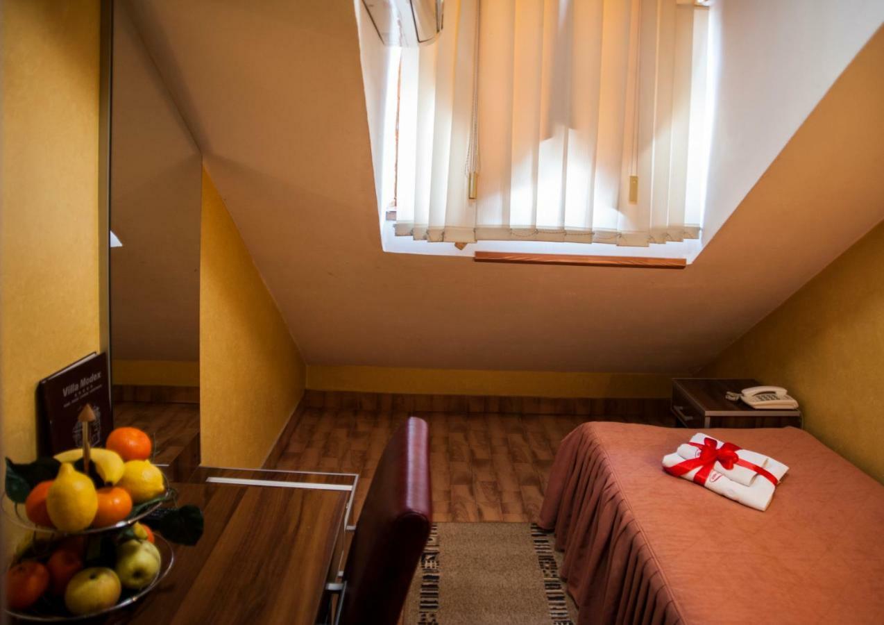 Guesthouse Villa Modex Paraćin Exteriör bild